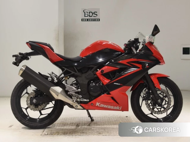 Проданный Kawasaki NINJA 250SL 2015 из Японии, фото 2
