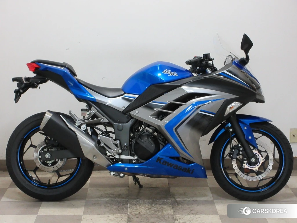 Проданный OTHER Ninja 250 ABS SE 2016 из Японии, фото 2