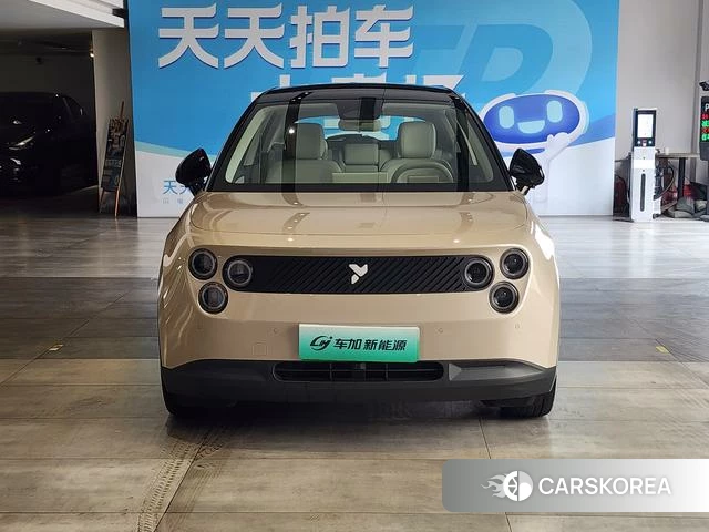 firefly firefly Unknown 2025 Шампань из Китая