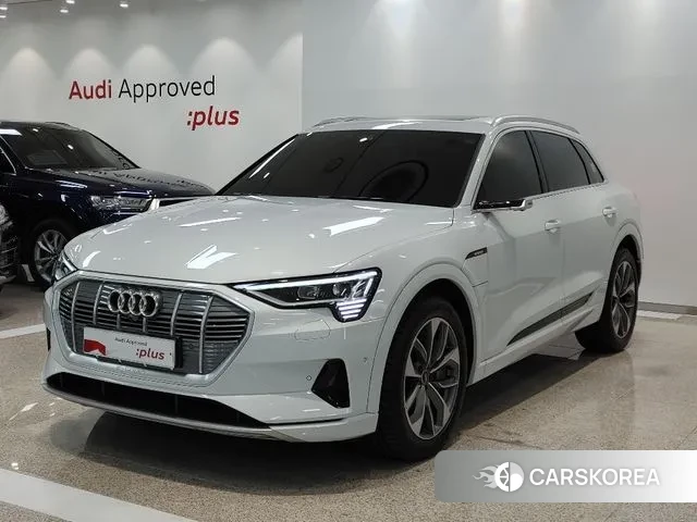 Audi e-Tron 2022 Белый из Кореи