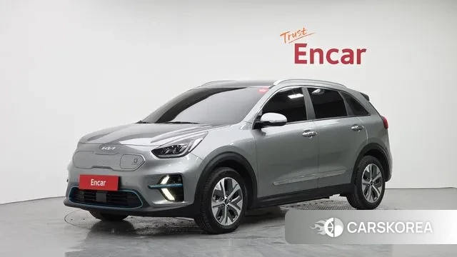 Kia Niro EV 2021 Серый из Кореи