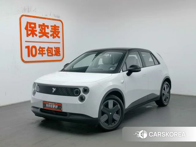 firefly firefly Unknown 2025 Белый из Китая