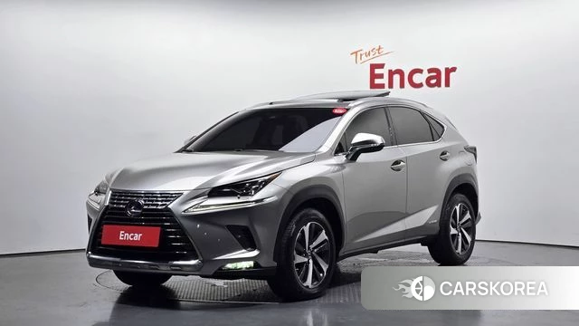 Lexus NX300h 2019 Серебристо-серый из Кореи