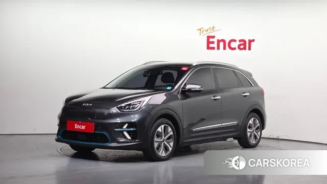 Kia Niro EV 2021 Серый из Кореи