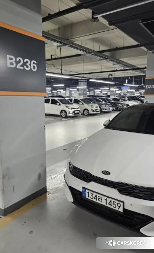 Kia K5 3rd generation 2020 Белый из Кореи