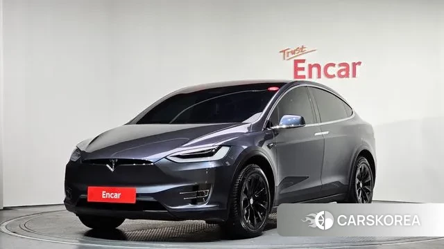 Tesla Model X 2020 Серый из Кореи