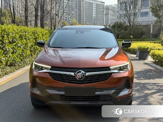 Buick Angkola 2020 Коричневый из Китая