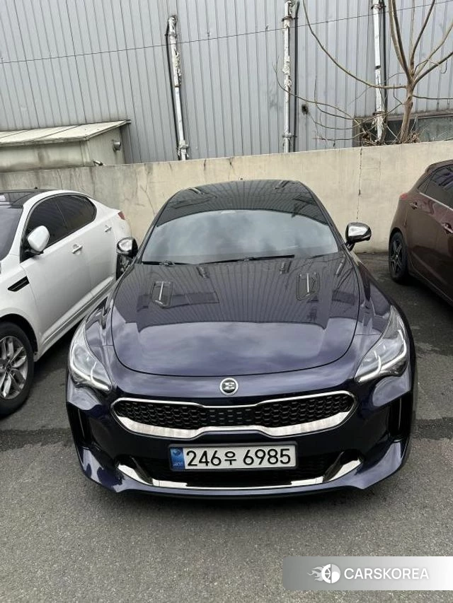 Kia Stinger Meister 2020 Синий из Кореи