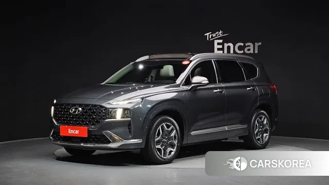 Hyundai The New Santa Fe 2022 Серый из Кореи