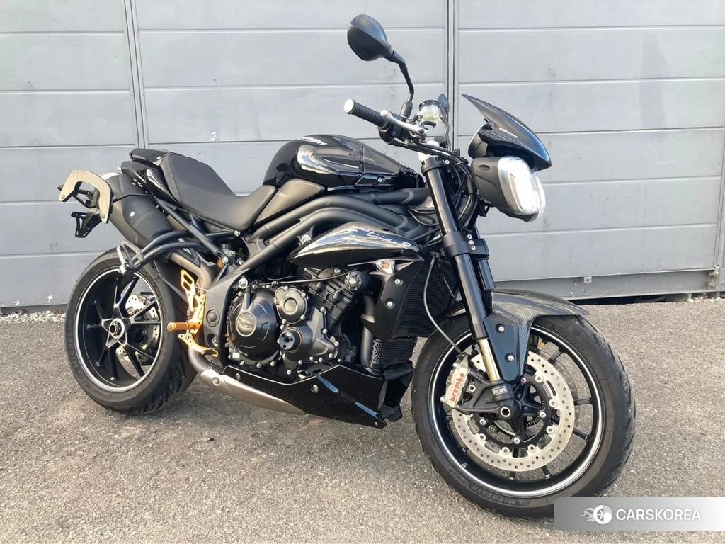 Проданный Triumph SPEED TRIPLE R 2016 из Японии
