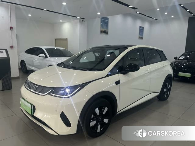 BYD dolphin 2025 Белый из Китая
