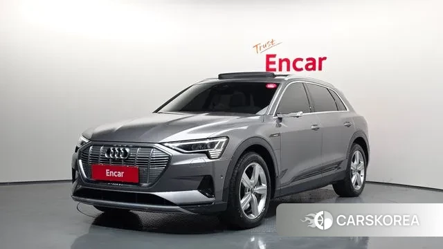 Audi e-Tron 2021 Серый из Кореи