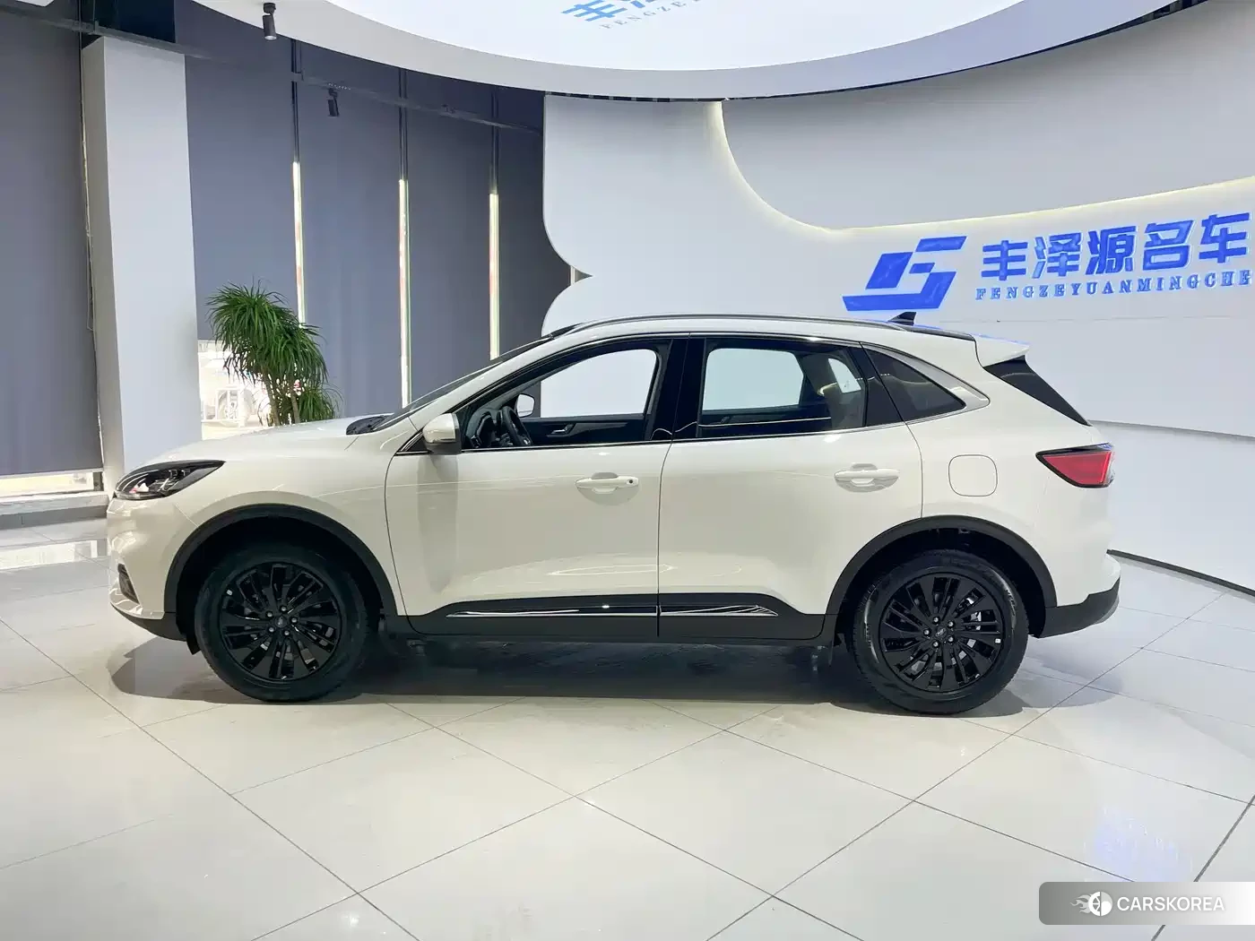Ford Ruiji 2026 Белый из Китая