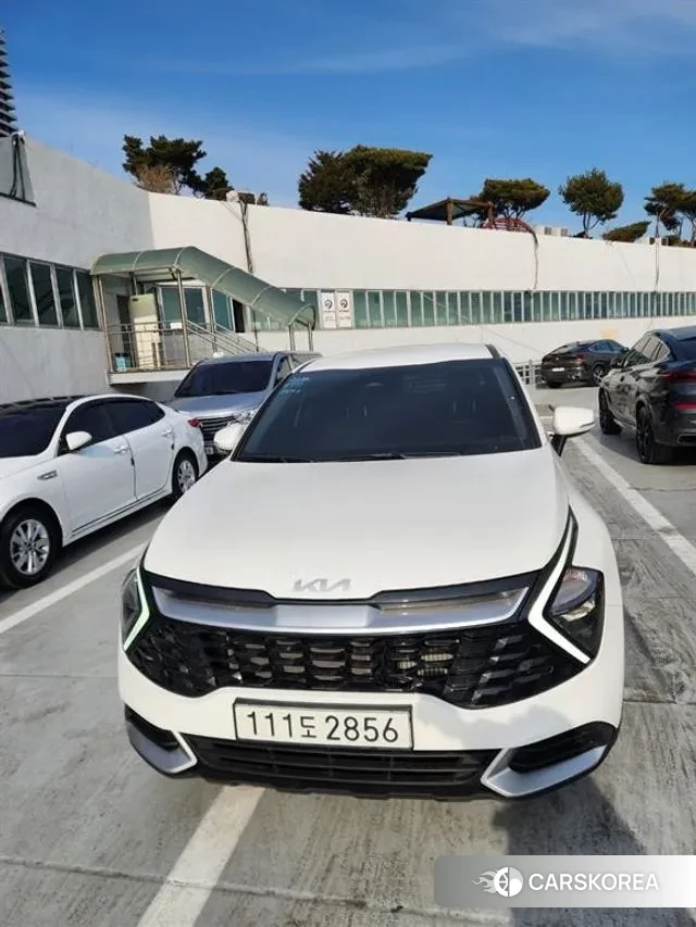 Kia Sportage 5th Generation 2024 Белый из Кореи