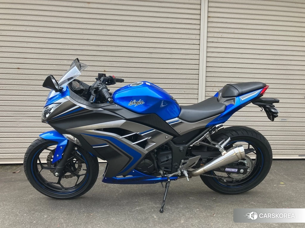 Проданный OTHER Ninja 250 ABS SE 2016 из Японии, фото 2