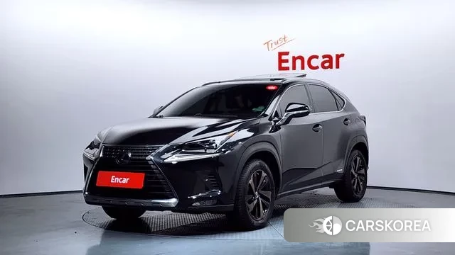 Lexus NX300h 2019 Черный из Кореи