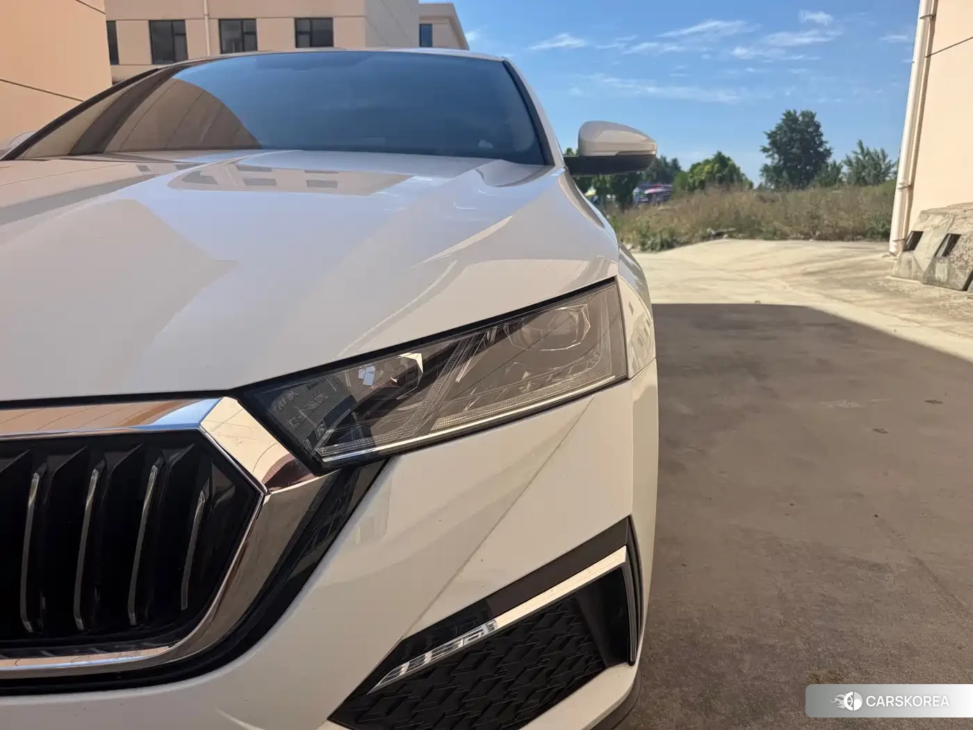 Skoda Octavia 2023 Белый из Китая