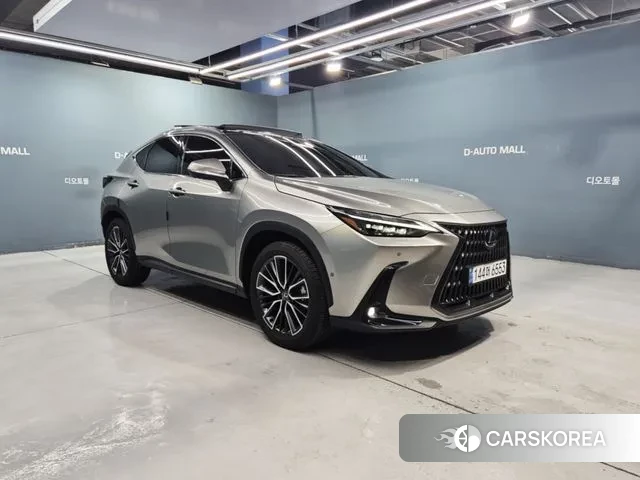Lexus NX350h Second generation 2024 Песочный из Кореи