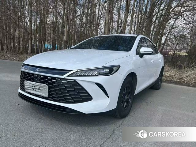 BYD Qin PLUS DM 2025 Белый из Китая