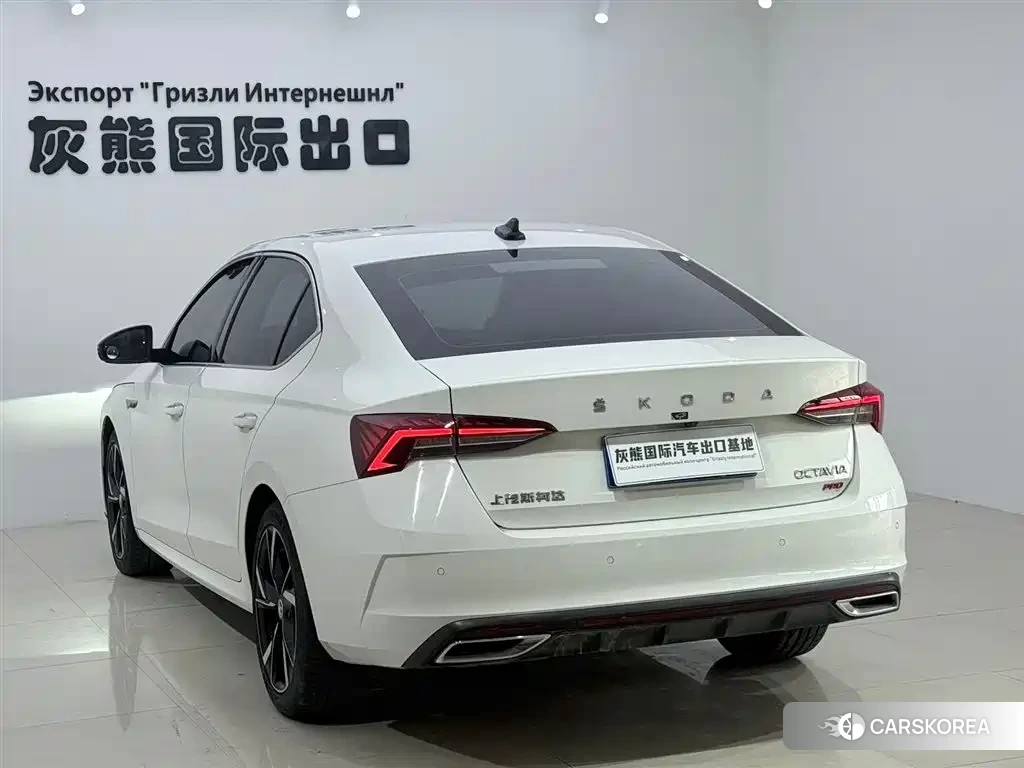 Skoda Octavia 2022 Белый из Китая