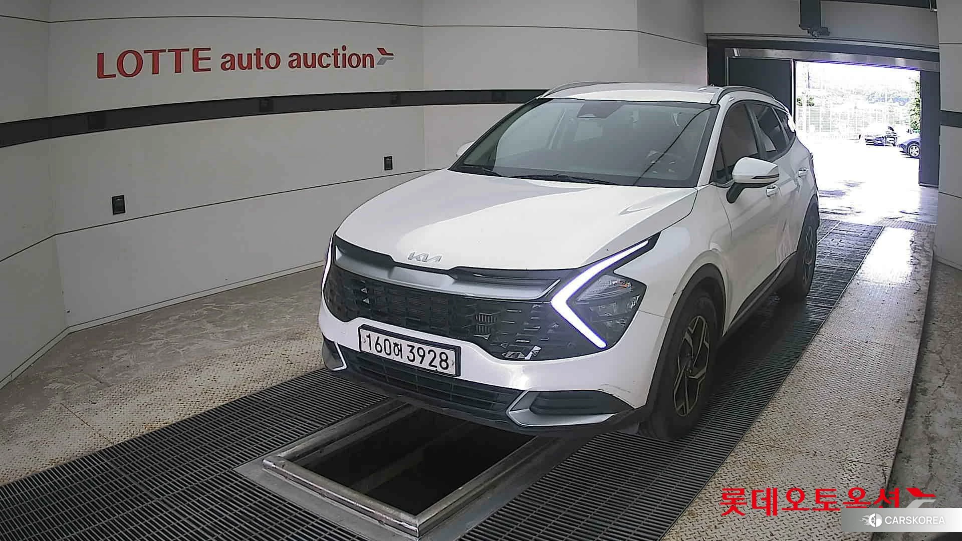 Kia Sportage 2022 Snow White Pearl (optional) из Кореи