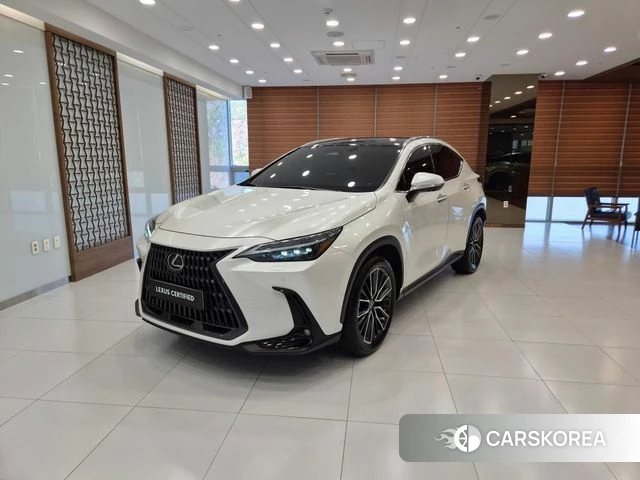 Lexus NX350h Second generation 2024 Жемчужный цвет из Кореи