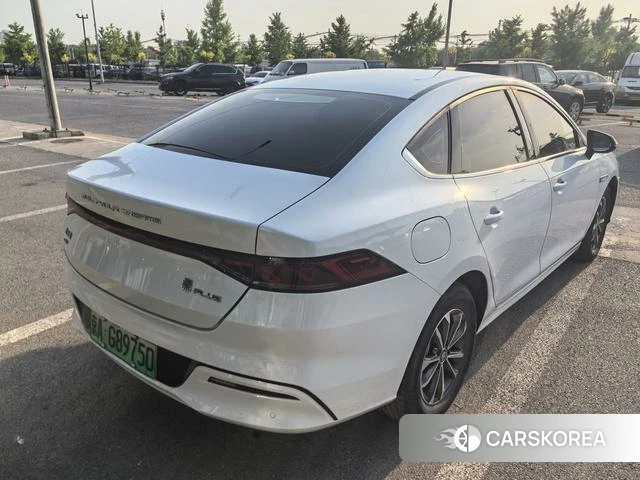 BYD Qin PLUS DM 2025 Белый из Китая