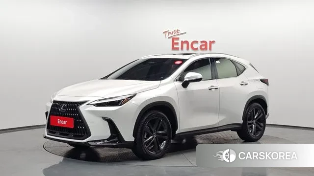Lexus NX350h Second generation 2024 Белый из Кореи