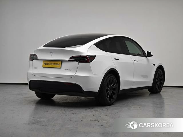 Tesla Model Y 2021 Белый из Китая