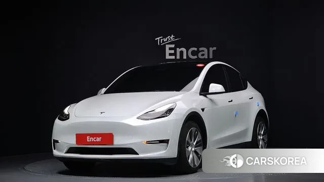 Tesla Model Y 2021 Белый из Кореи