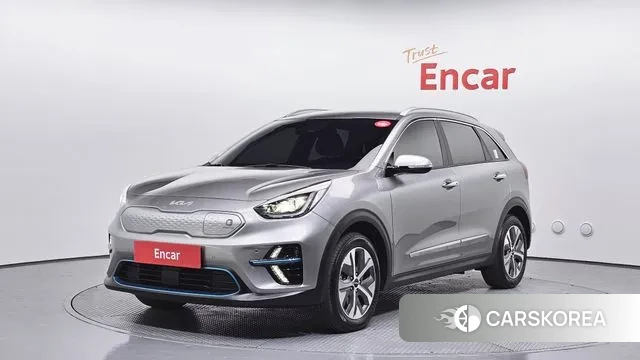 Kia Niro EV 2021 Серый из Кореи