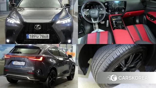Lexus NX450h + 2nd generation 2024 Серый из Кореи