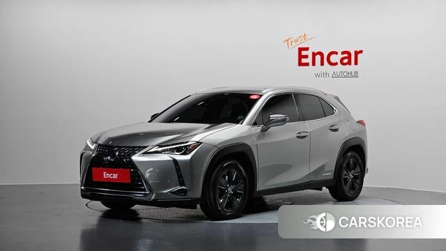 Lexus UX250h 2020 Серый из Кореи