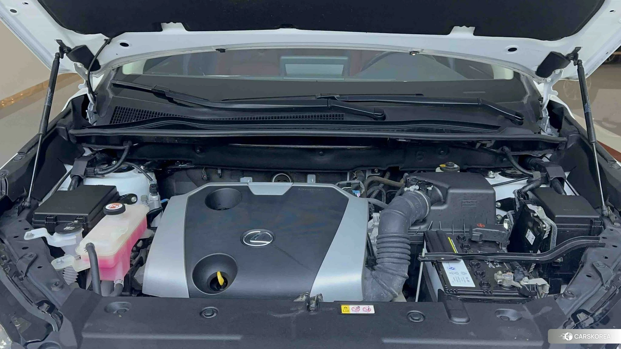 Lexus NX 2019 Белый из Китая