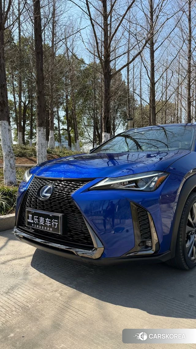 Lexus UX 2019 Синий из Китая