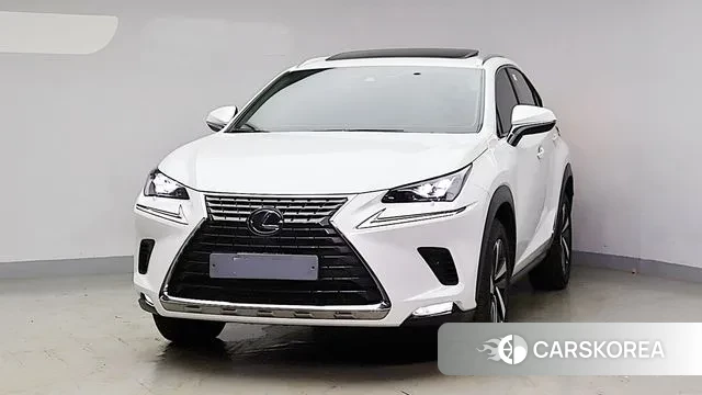 Lexus NX300h 2020 Белый из Кореи