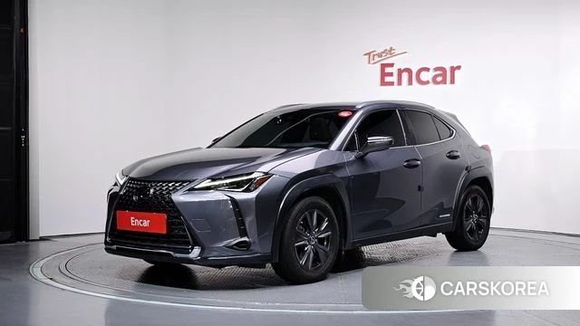 Lexus UX250h 2019 Серый из Кореи