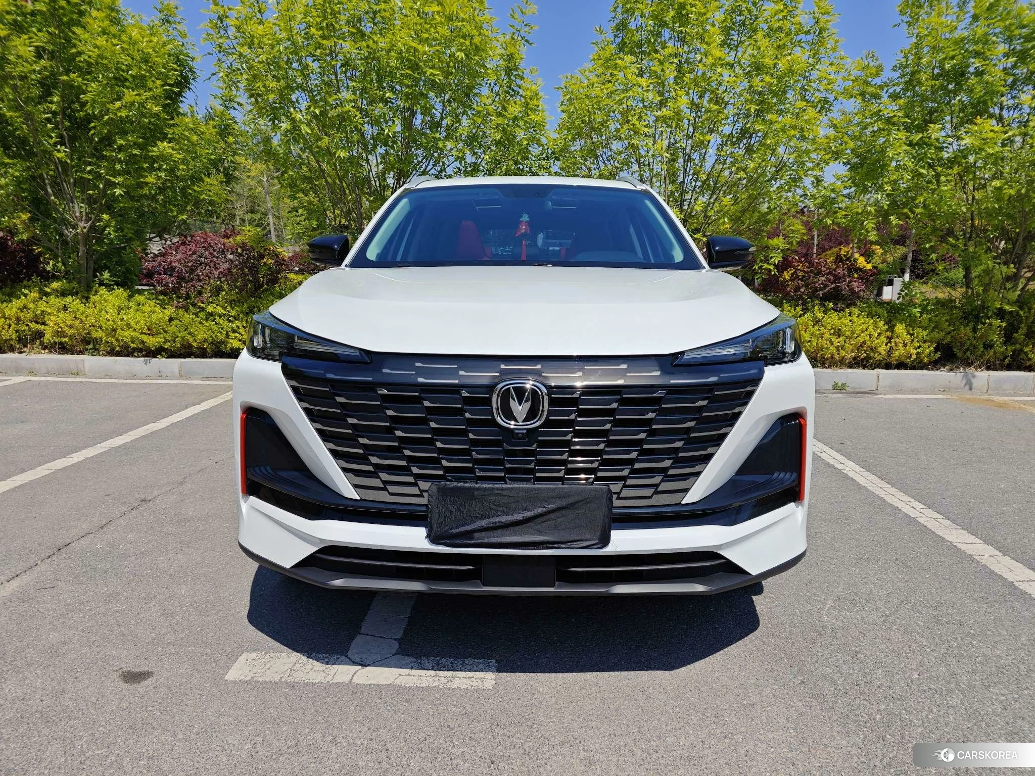 Chang'an CS55 PLUS 2021 Белый из Китая