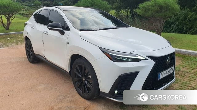 Lexus NX450h + 2nd generation 2025 Белый из Кореи