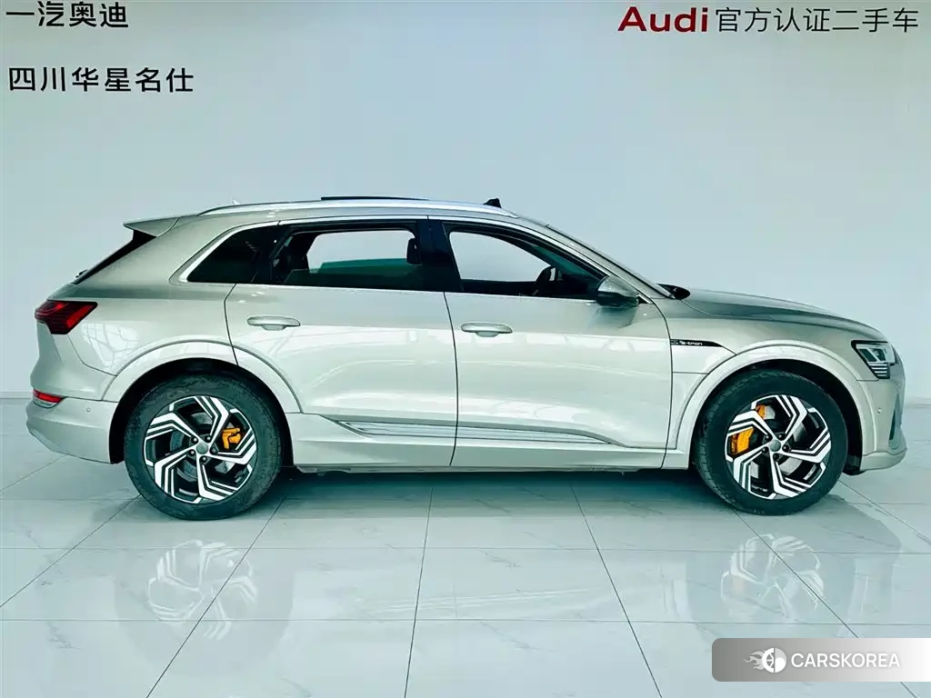 Audi e-tron 2022 Champagne/brown из Китая
