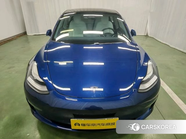 Tesla Model 3 (imported) 2019 Синий из Китая
