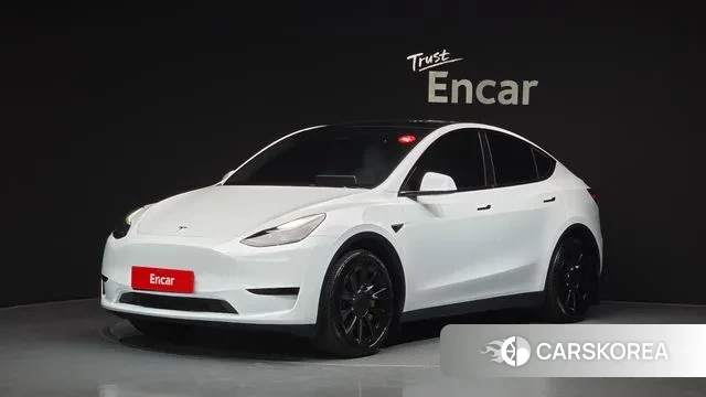 Tesla Model Y 2023 Белый из Кореи