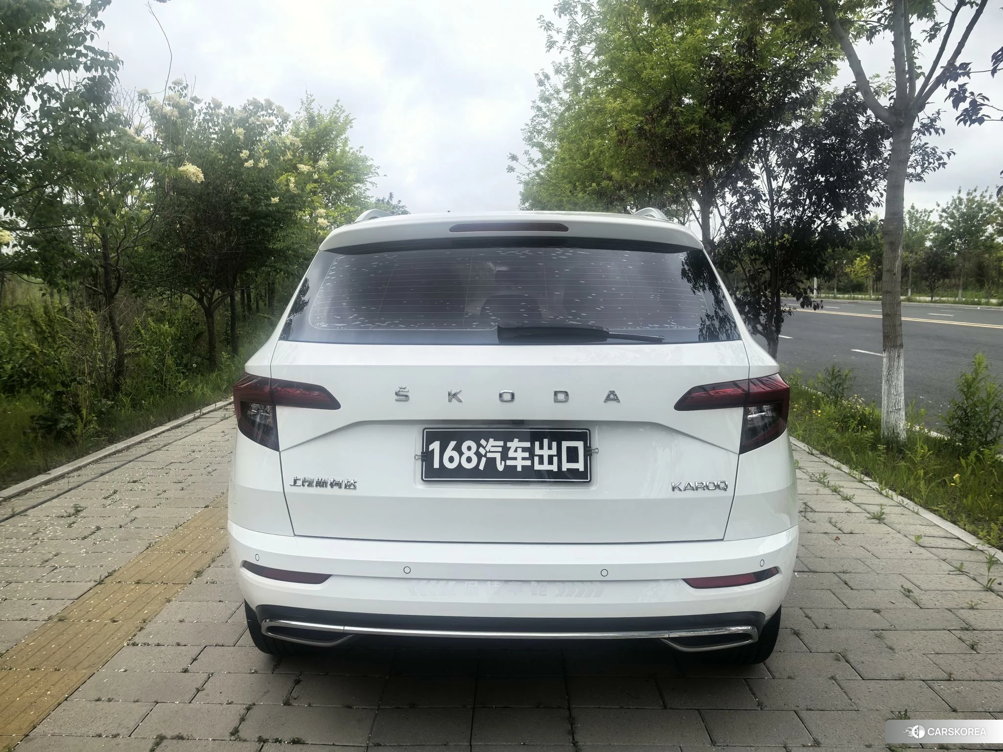 Skoda Krok 2021 Белый из Китая