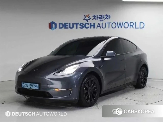 Tesla Model Y 2022 Серый из Кореи