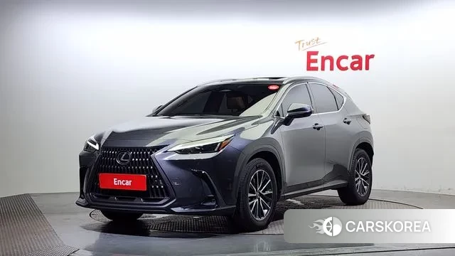 Lexus NX450h + 2nd generation 2022 Серый из Кореи