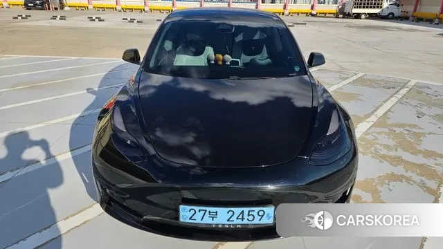 Tesla Model 3 2021 Белый из Кореи