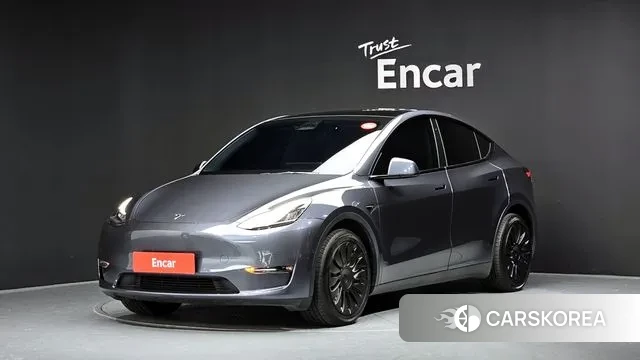 Tesla Model Y 2022 Серый из Кореи