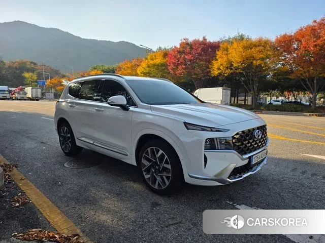 Hyundai The New Santa Fe 2021 Белый из Кореи