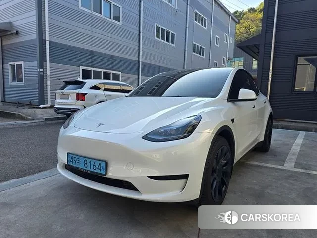 Tesla Model Y 2023 Белый из Кореи