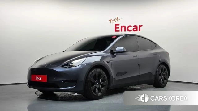 Tesla Model Y 2023 Серый из Кореи